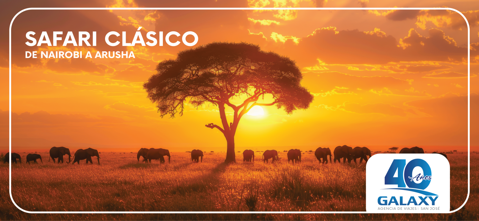 SAFARI CLÁSICO