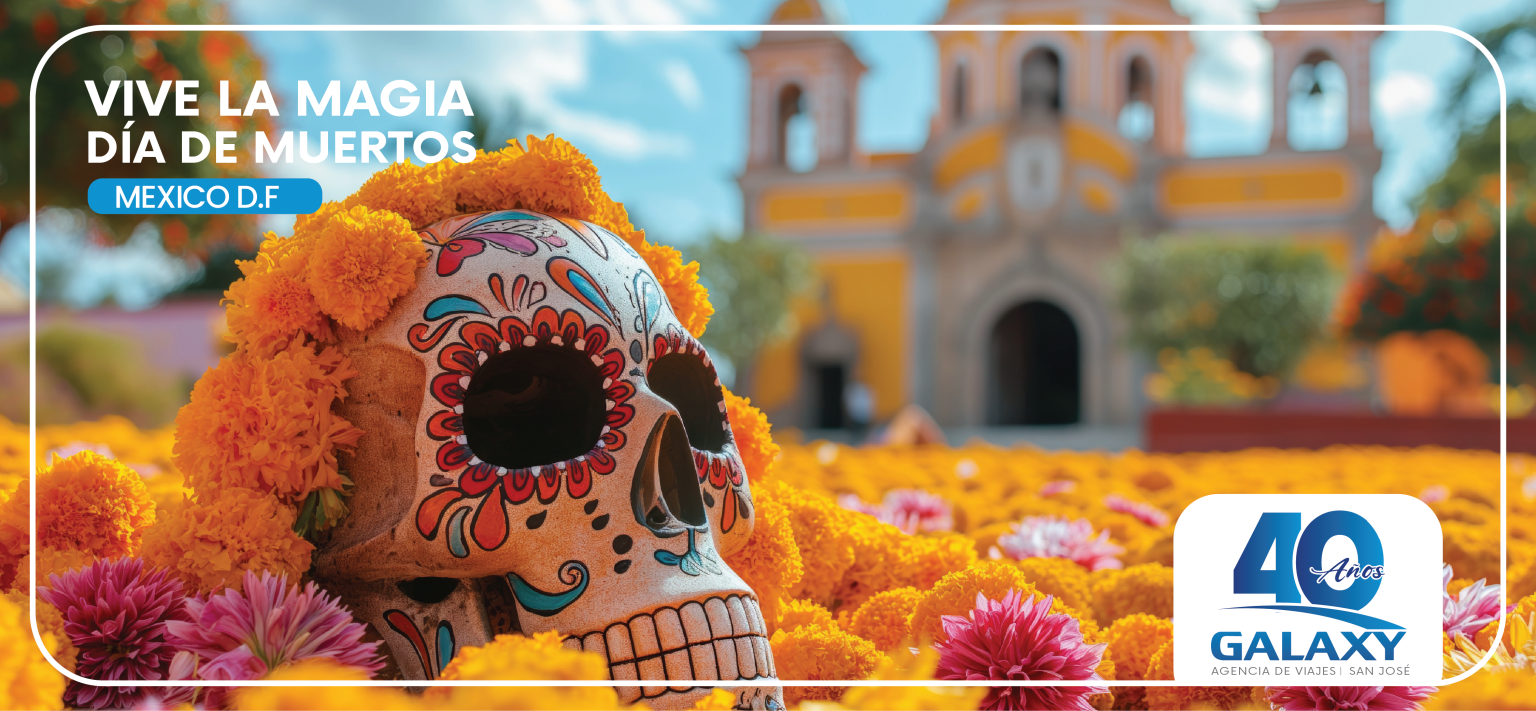 DÍA DE MUERTOS – MÉXICO D.F (SEGUNDA FECHA)